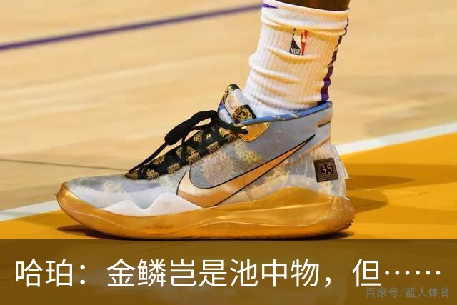 哈珀：金鳞岂是池中物，但……