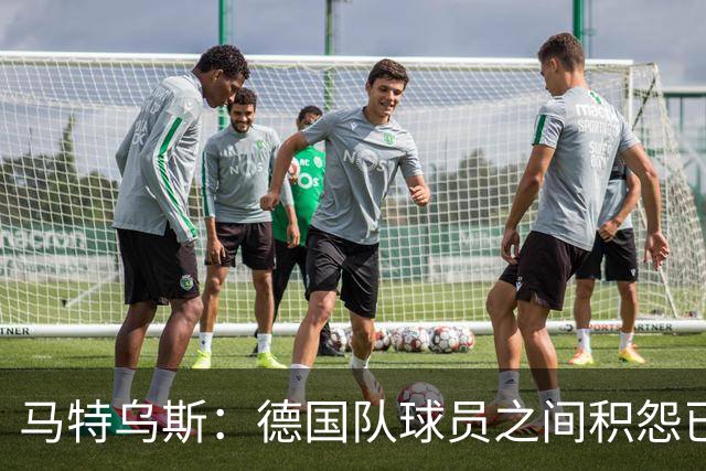 马特乌斯：德国队球员之间积怨已久 一些人的家人可以享受特权